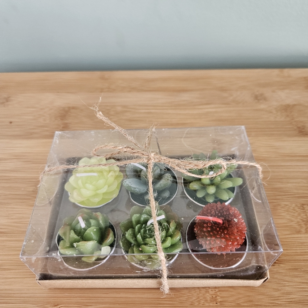 Set of 6 Succulent Tealight Candles